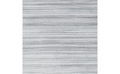 Fiamma F45s Titanium Markise 260 Grau -Freien Zelt Geschäft 106647 604695