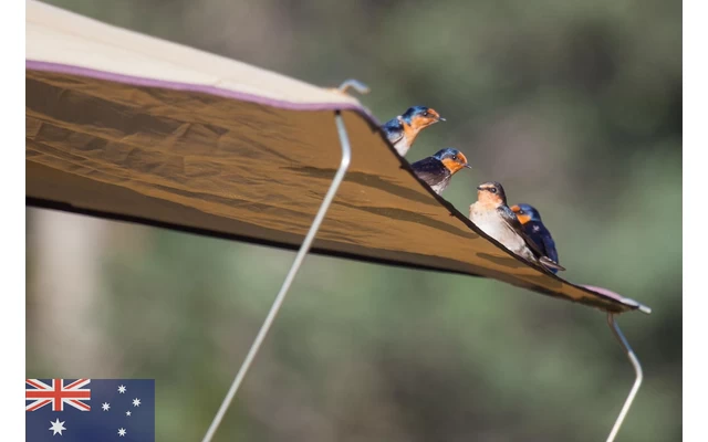 Gordigear Dachzelt Plus Für 3 Personen Mit Staufläche 165 X 320 Cm Grün 4 Gordigear Dachzelt Plus Für 3 Personen Mit Staufläche 165 X 320 Cm Grün – Bild 2