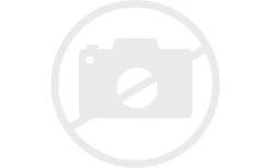 Brand Rohrfeststeller 10 Stück Durchmesser 25 Mm -Freien Zelt Geschäft 86502 2227658 14